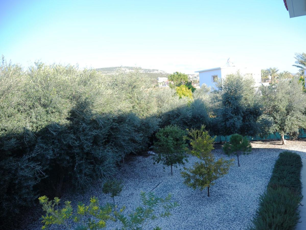 Willa Luxury 6 Bedroom With Privet Pool In